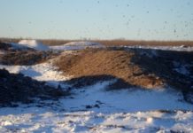 Помет по осени считают Помет по осени считают