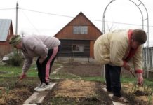 Вдали от шума городского Посадки