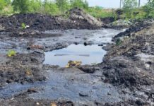 Земля здесь общая. Значит, ничья Нефть в анжерке