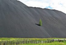 Не пора ли кузбассовцев эвакуировать? Рекультивация