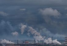 Вклад в экологию по принуждению Эко зсмкскриншот 17 01 2024 094332